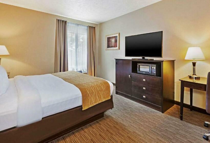 Стандартный Номер Кровать Кинг, Comfort Inn Whitehall Near Michigan S Adventure