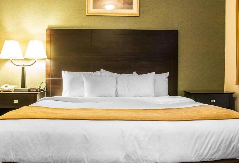 Стандартный Номер Кровать Кинг, Comfort Inn Whitehall Near Michigan S Adventure