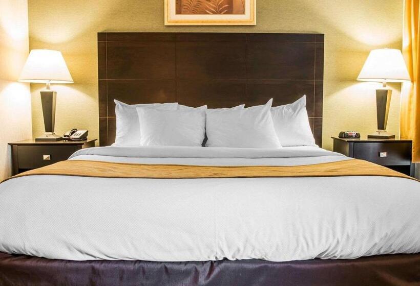Люкс Повышенной Комфортности, Comfort Inn Whitehall Near Michigan S Adventure