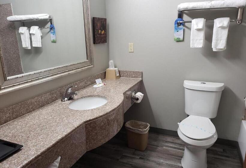 Студия Стандарт, Days Inn & Suites By Wyndham Cleburne Tx