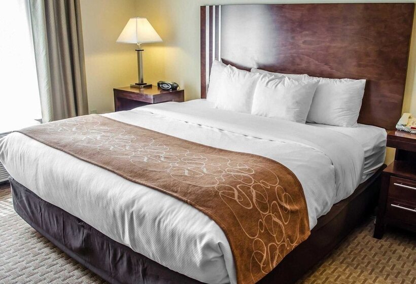 Люкс, Comfort Suites Hummelstown  Hershey