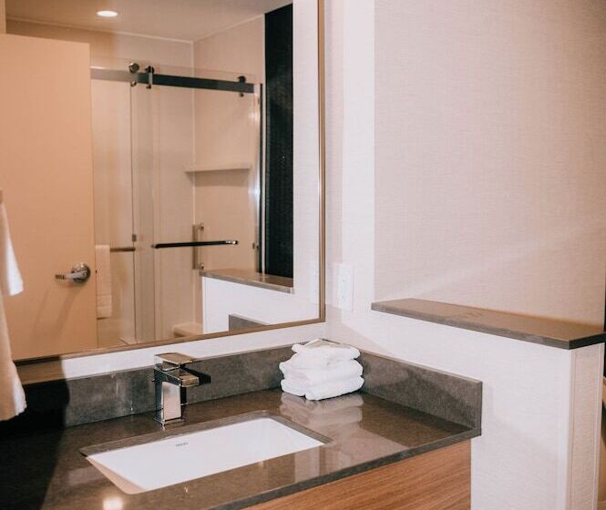 带2个双人床的标准工作室, Fairfield Inn & Suites By Marriott Lexington Georgetown/college Inn