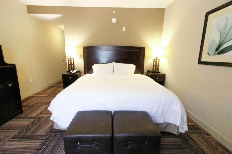 스탠다드 룸 킹사이즈 침대, Hampton Inn & Suites By Hilton Flowery Branch Lake Lanier