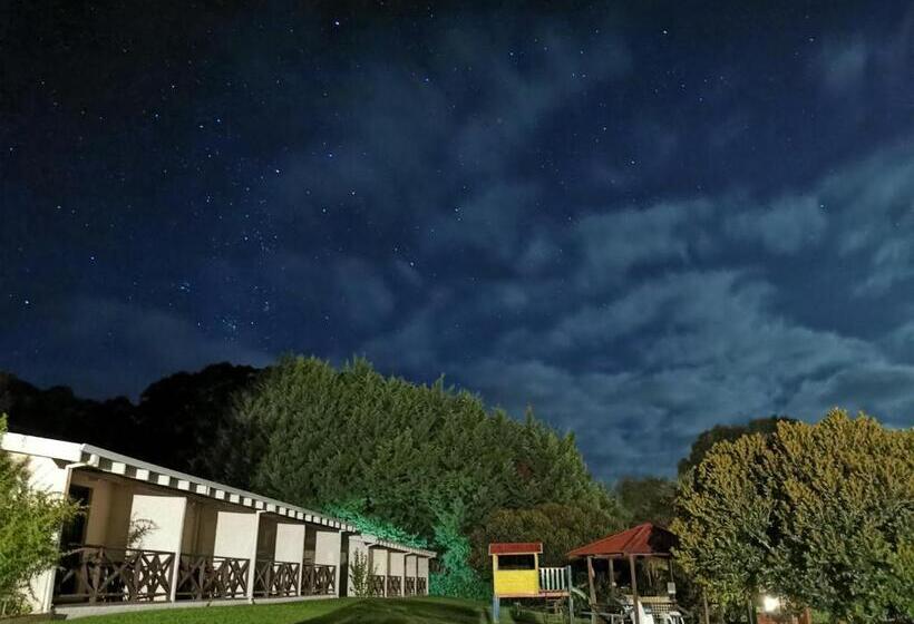 패밀리 룸, Karri Forest Motel