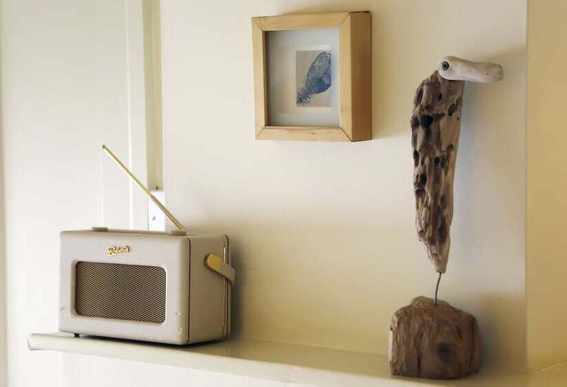 Номер Basic, Driftwood