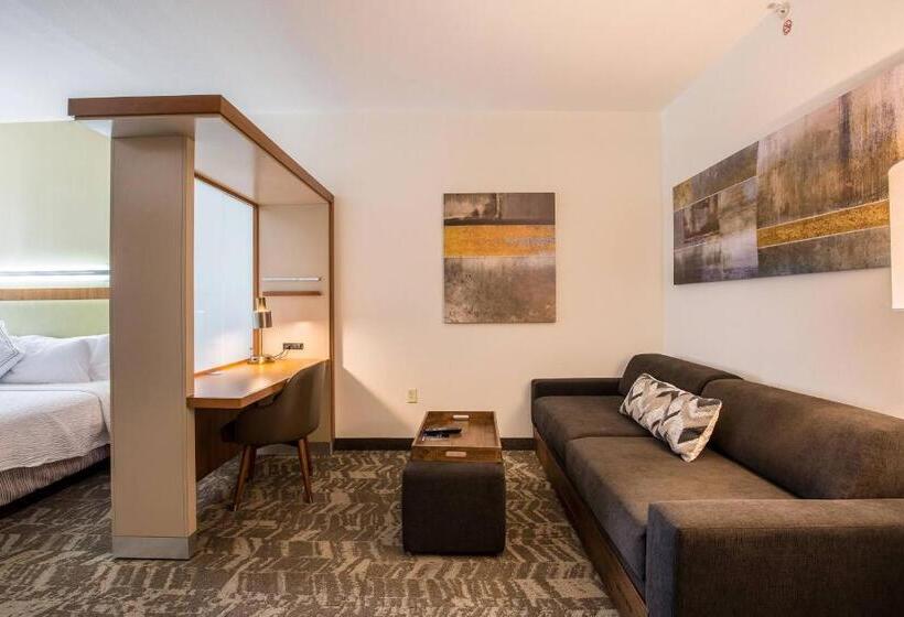 Студио Стандарт Кровать Кинг, Springhill Suites By Marriott Houston Rosenberg