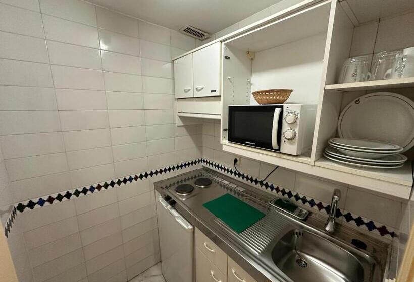 استودیو استاندارد با تراس, Hospedium Hotel Apartamentos Simón Verde