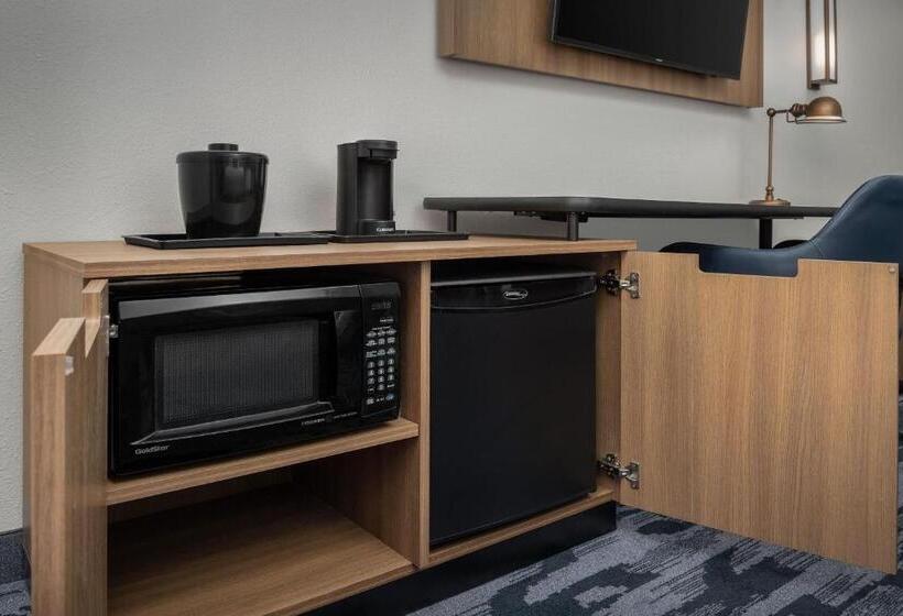 Стандартный Номер Кровать Кинг, Fairfield Inn & Suites Roanoke Hollins/i81