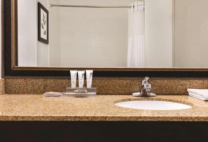 带大床的套房, Country Inn & Suites By Radisson, Georgetown, Ky