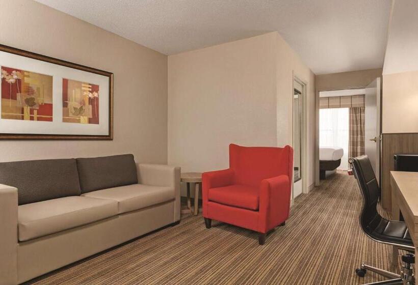 带大床的套房, Country Inn & Suites By Radisson, Georgetown, Ky