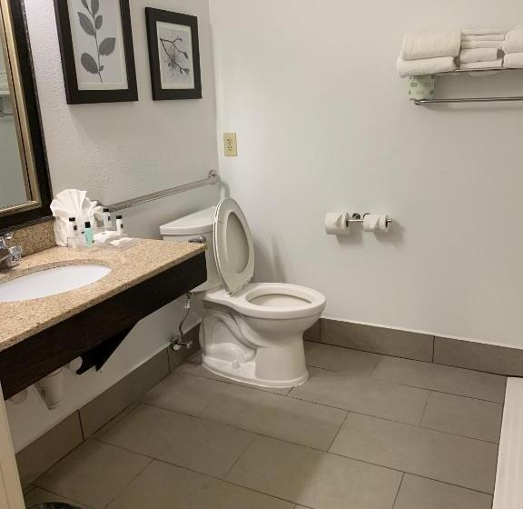 带大床的标准间, Country Inn & Suites By Radisson, Georgetown, Ky