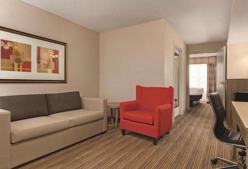 带大床的套房, Country Inn & Suites By Radisson, Georgetown, Ky