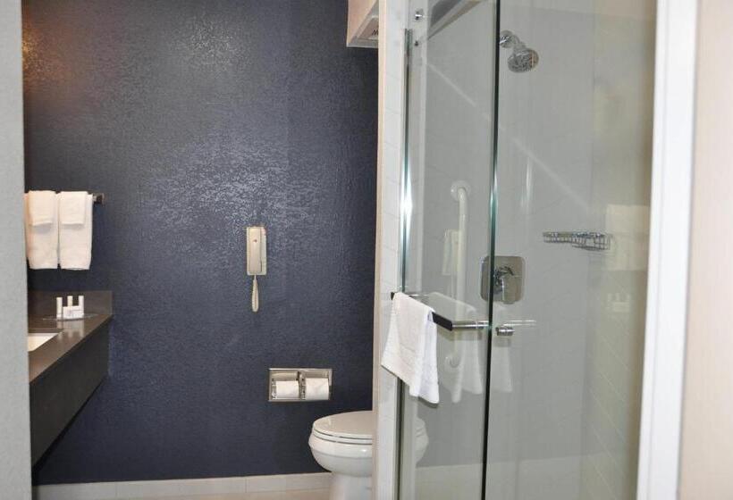 스탠다드 룸 킹사이즈 침대, Fairfield Inn & Suites Ukiah Mendocino County