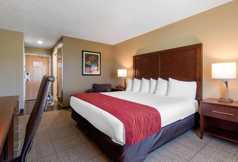Стандартный Номер Кровать Кинг, Comfort Inn & Suites Cooperstown   Milford