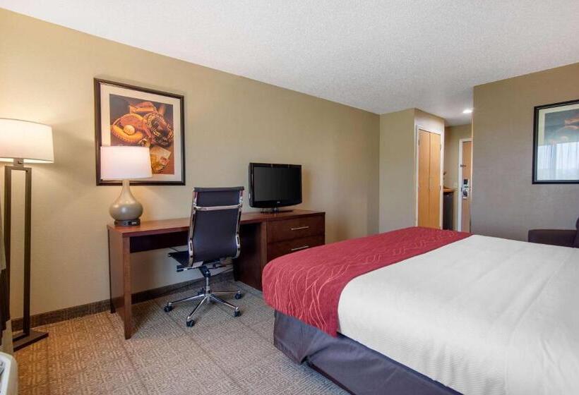 Стандартный Номер Кровать Кинг, Comfort Inn & Suites Cooperstown   Milford