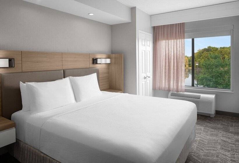 스위트, Springhill Suites By Marriott Grand Rapids Airport Southeast