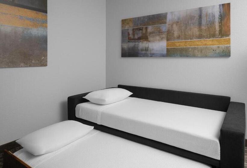 스위트 킹사이즈 침대, Springhill Suites By Marriott Grand Rapids Airport Southeast