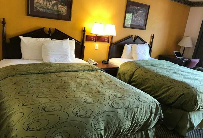 Номер Стандарт, Clairmont Inn & Suites   Warren