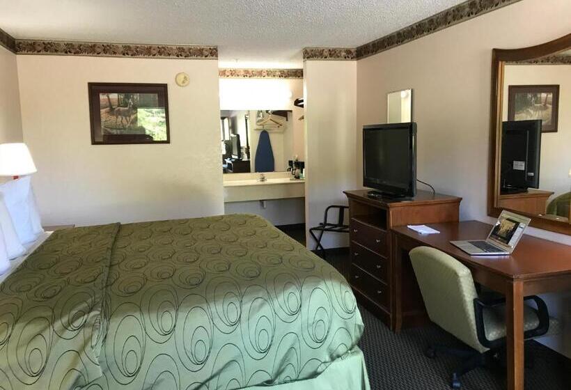 Люкс Кровать Кинг, Clairmont Inn & Suites   Warren
