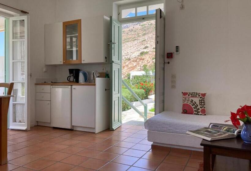 带1个卧室的带海景的公寓, Alkyonis Villas
