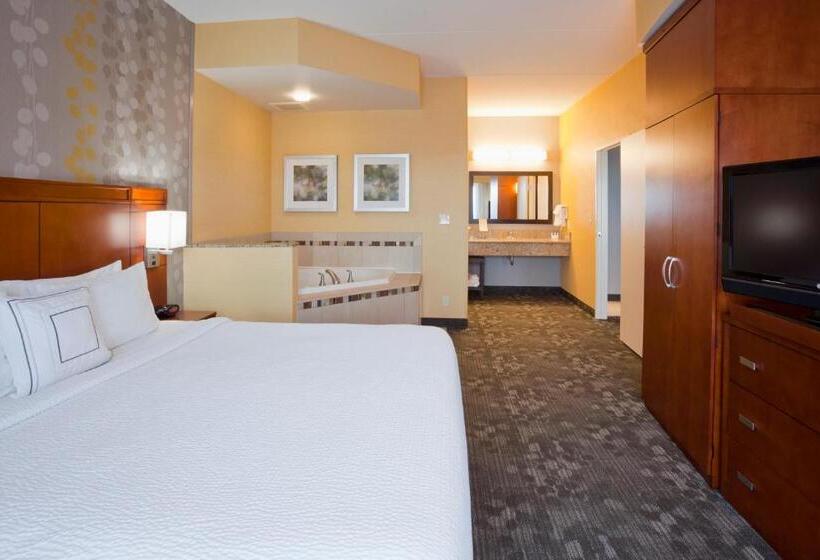 Стандартный Номер Кровать Кинг, Courtyard Minneapolis Maple Grove Arbor Lakes