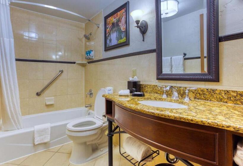 Chambre Deluxe Adaptée aux Personnes à Mobilité Réduite, Drury Plaza Hotel San Antonio Riverwalk