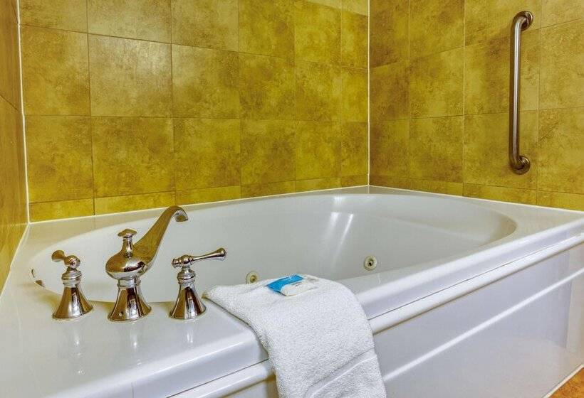 Suite, Drury Plaza Hotel San Antonio Riverwalk