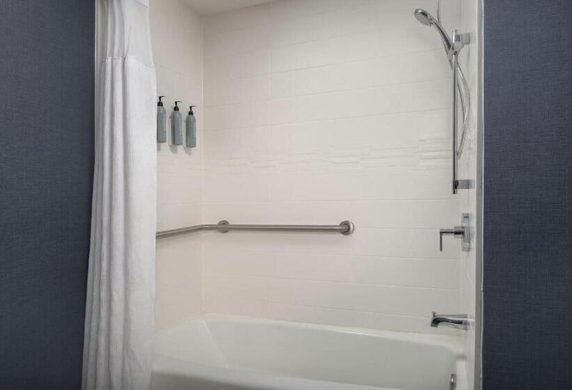 Студио Стандарт Кровать Кинг, Residence Inn Birmingham Hoover