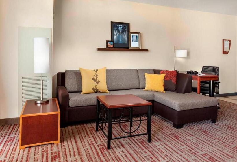 Suite, Residence Inn By Marriott Chicago Downtown/river North