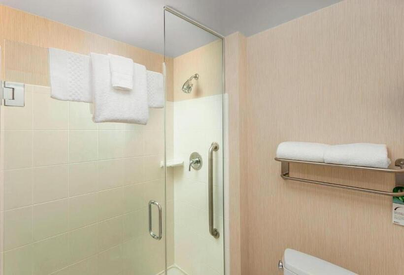 إستوديو قياسي مطل على المدينة, Residence Inn By Marriott Chicago Downtown/river North
