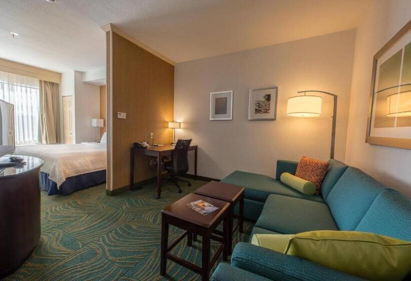 Люкс Кровать Кинг, Springhill Suites Ridgecrest