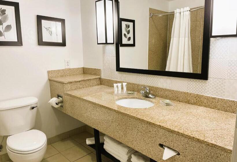 스탠다드 스튜디오 킹침대, Country Inn & Suites By Radisson, Albany, Ga