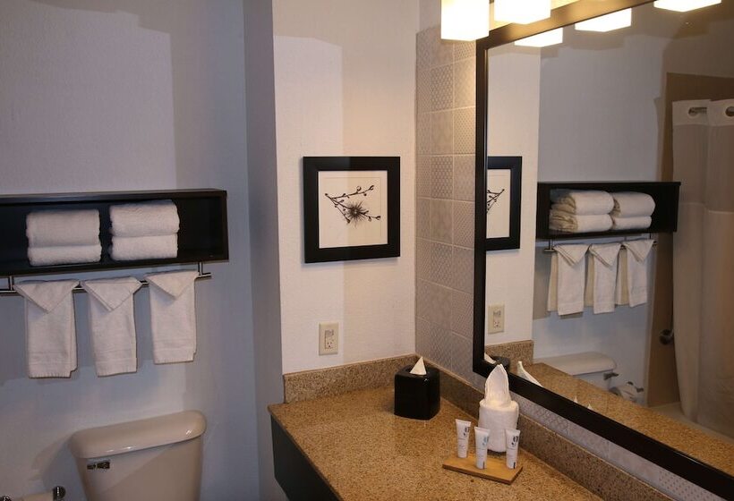Люкс, Country Inn & Suites By Radisson, Wilson, Nc