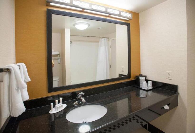 キングサイズベッドのスタンダードルーム, Fairfield Inn & Suites Orange Beach