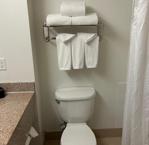 高级客房, Holiday Inn & Suites   Barstow, An Ihg
