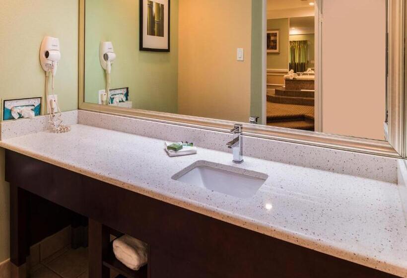 Люкс Deluxe Кровать Кинг, Inn Of The Dove Romantic Luxury & Business Suites