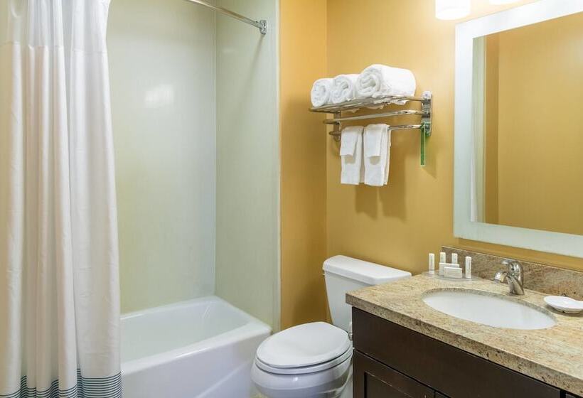 Люкс, Towneplace Suites Dayton North