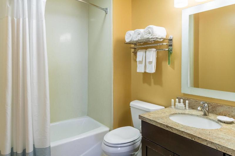 Студио Стандарт Кровать Кинг, Towneplace Suites Dayton North
