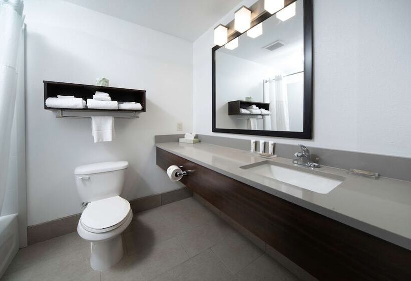 스위트, Country Inn & Suites By Radisson, Rocky Mount, Nc