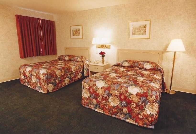 带2个双人床的标准工作室, The Springwater Inn