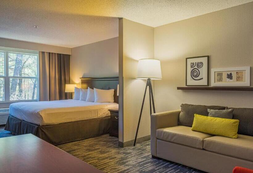 Студио Стандарт Кровать Кинг, Country Inn & Suites By Radisson, Doswell Kings Dominion , Va