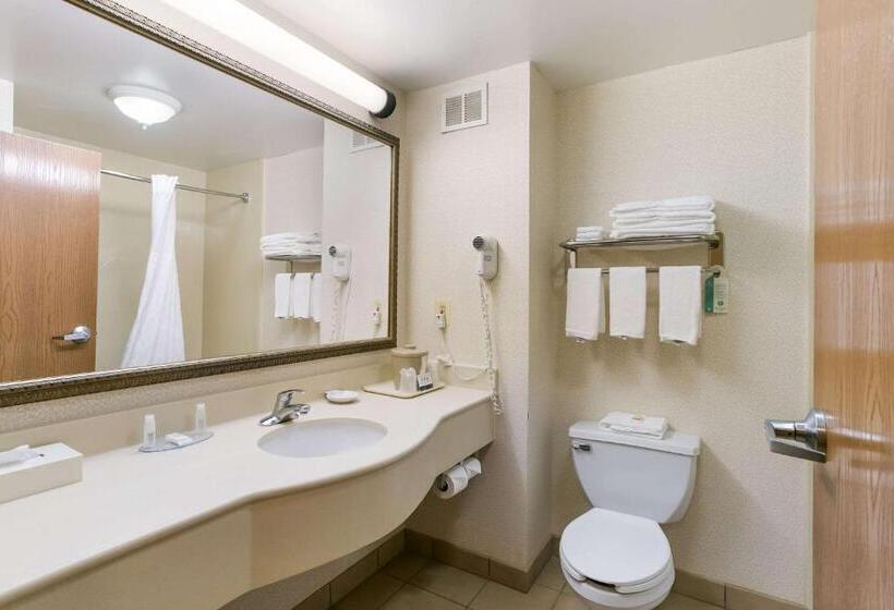 Номер Стандарт Кровать Кинг Адаптированный для Инвалидов, Quality Inn & Suites Bel Air I 95 Exit 77a