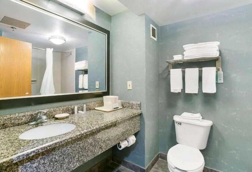 Люкс с гидромассажем, Quality Inn & Suites Bel Air I 95 Exit 77a