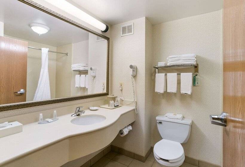 Люкс с гидромассажем, Quality Inn & Suites Bel Air I 95 Exit 77a