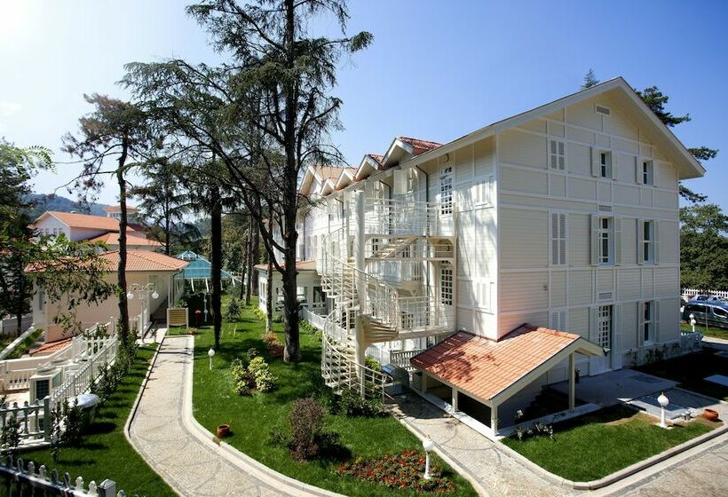 Номер Стандарт, Limak Yalova Thermal Boutique