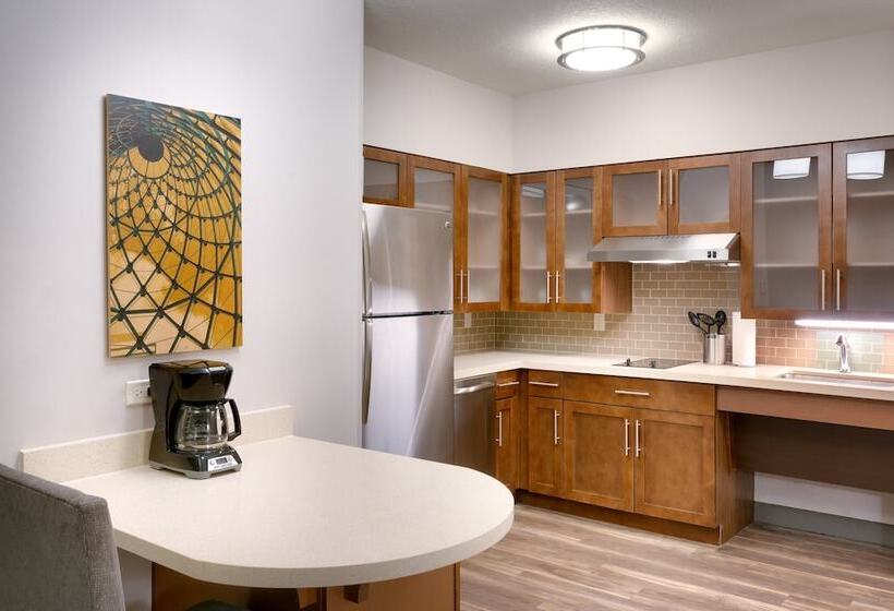 带2个卧室的套房, Residence Inn Gainesville I 75