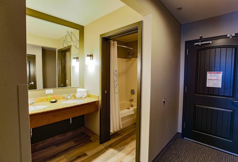 Полулюкс, Great Wolf Lodge Chicago/gurnee