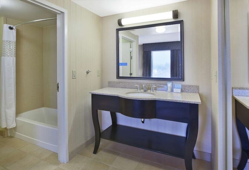 Студио Стандарт Кровать Кинг, Hampton Inn & Suites Plattsburgh