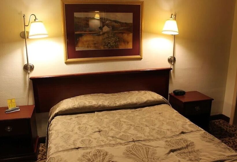 Номер Стандарт, Happy Bear Motel