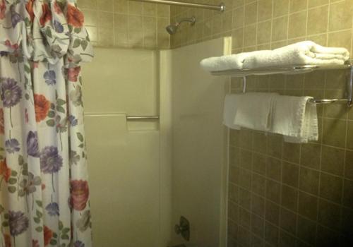带大床的标准间, Holly Motel Southampton